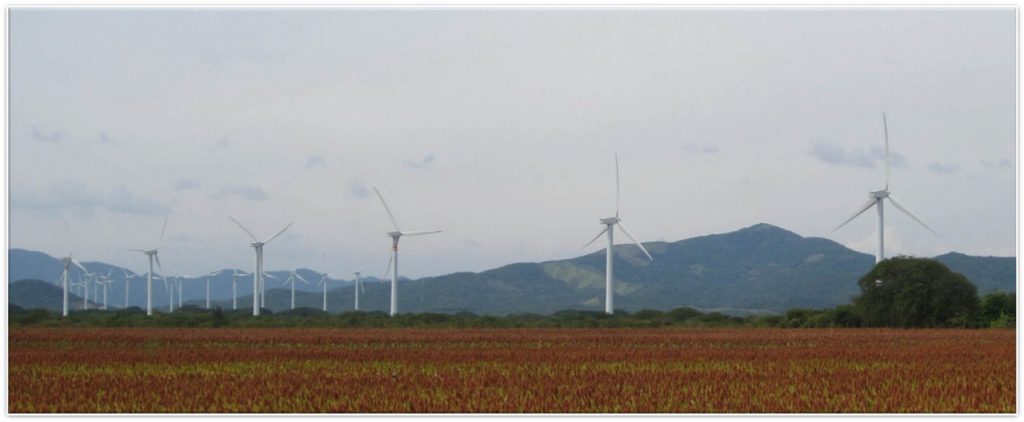 La mayor parte de la inversión comprometida por Iberdrola en México es en energía eólica. FOTO: Iberdrola 
