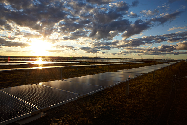 Planta fotovoltaica de Moree, en Australia. FOTO: Arena