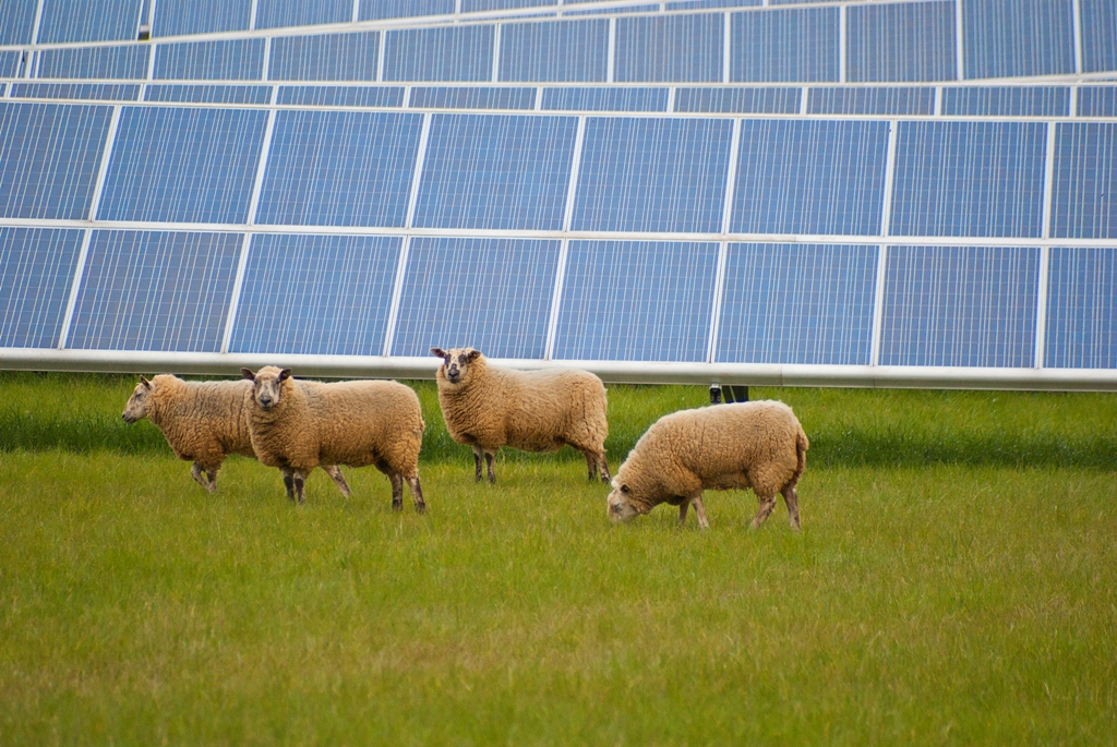 La producción fotovoltaica ha crecido un 115 % en el reino Unido en el último año.