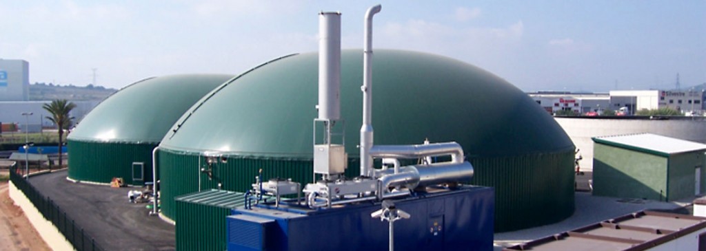 Entre otros proyectos renovables, Cofides financiará plantas de biogas.