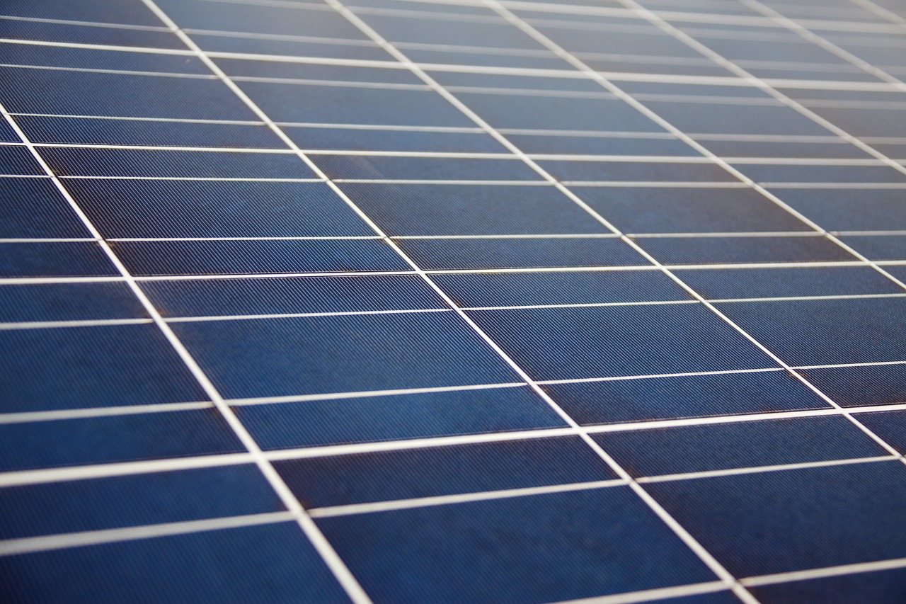 Paneles fotovoltaicos de GCL. FOTO: GCL