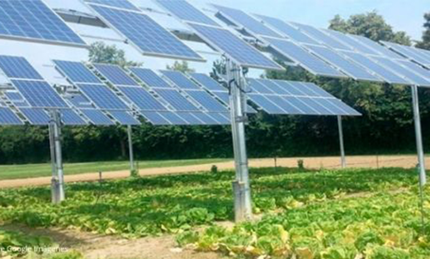 Univergy Solar agrovoltaico