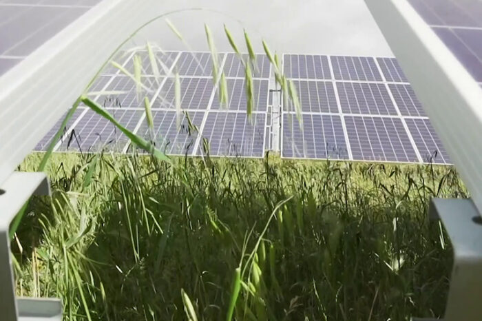 Iberdrola se convierte en el mayor promotor solar en Reino Unido con la compra de proyectos por más de 800 MW