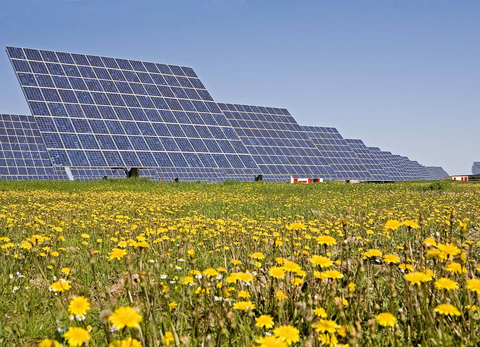 Instalaciones fotovoltaicas de Acciona Energía. FOTO: Acciona Energía