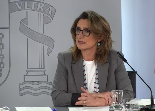 Teresa Ribera en la rueda de prensa después del Consejo de Ministros del 29 de marzo de 2022.