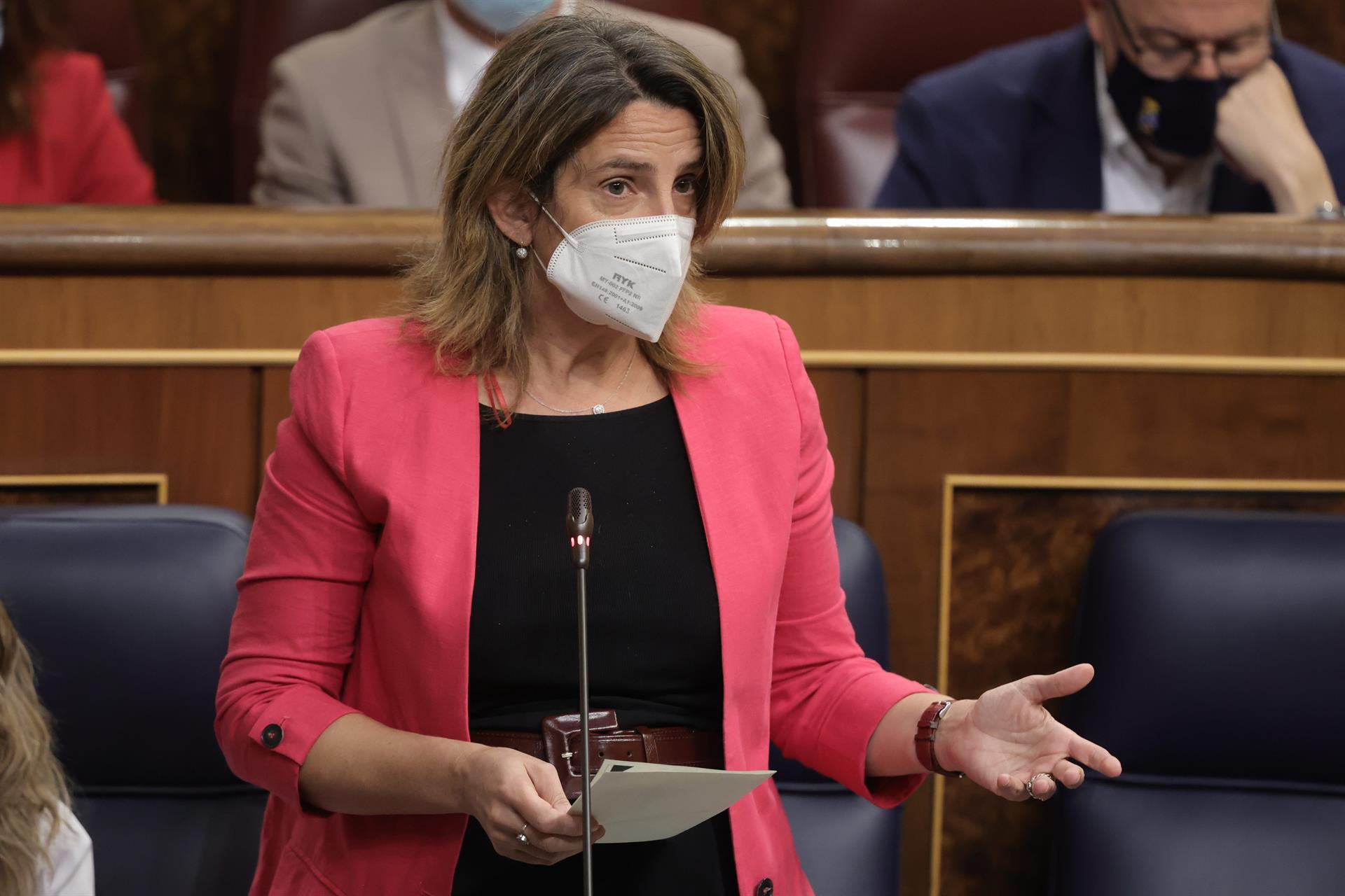 Teresa Ribera en el Congreso de los Diputados. FOTO: Europa Press