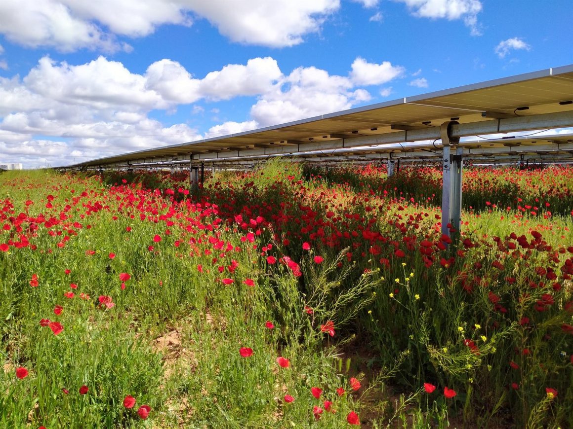 La planta fotovoltaica de Iberdrola en Portugal.