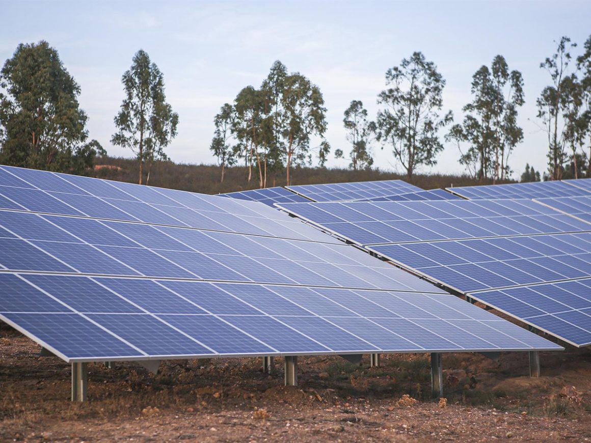 La planta fotovoltaica de Andévalo, en Puebla de Guzmán (Huelva). FOTO: UNEF