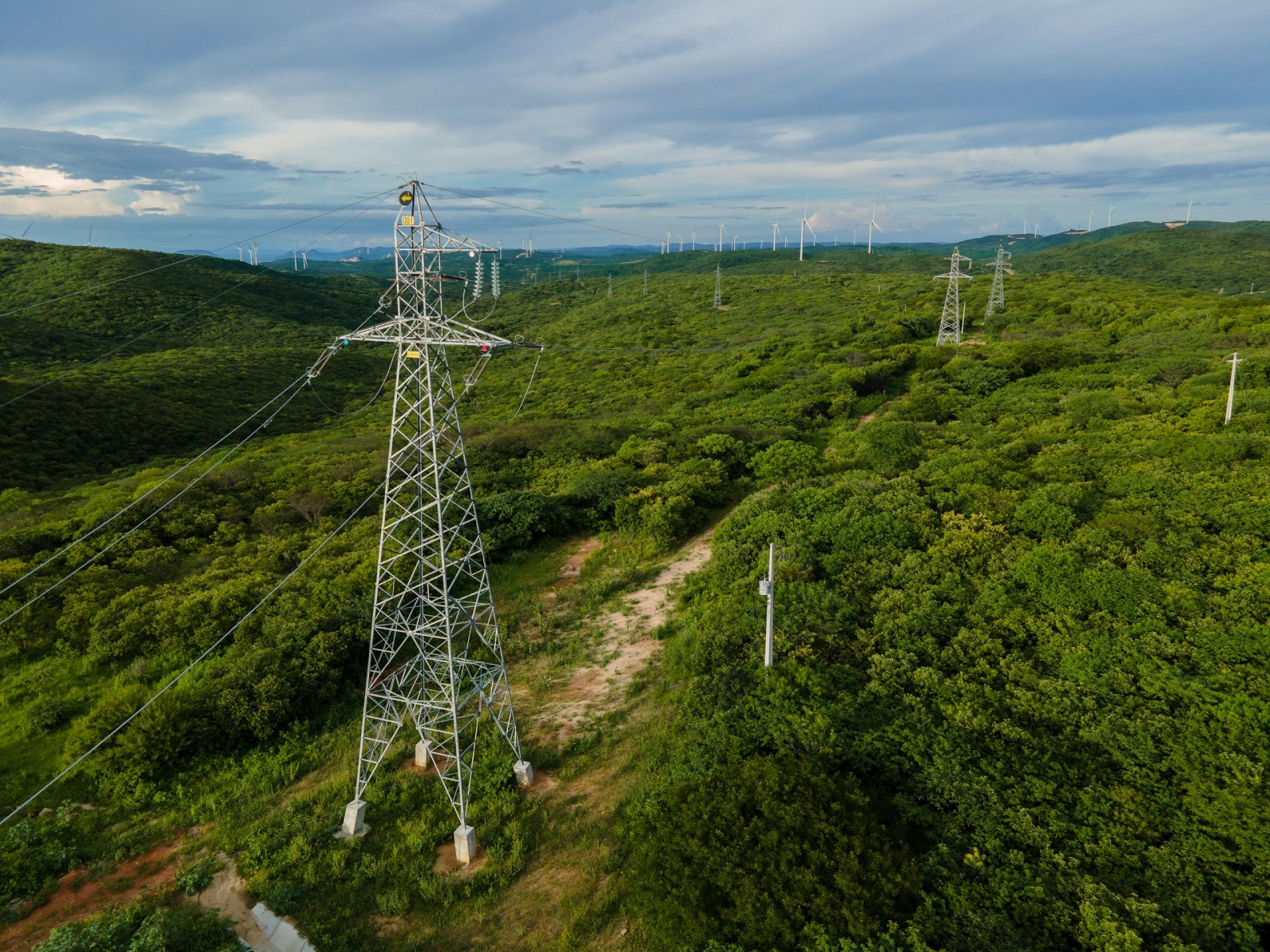 Two Spanish companies win stakes in an auction of power lines in Brazil