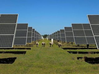 RGreen Invest invierte en proyectos solares fotovoltaicos en España. FOTO: RGreen Invest