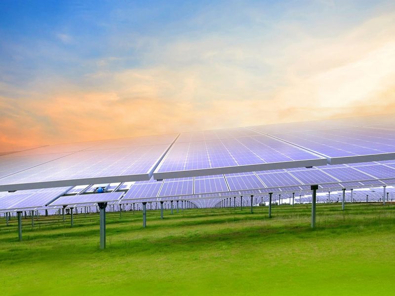 Proyecto fotovoltaico de Elawan Energy. FOTO: Elawan Energy