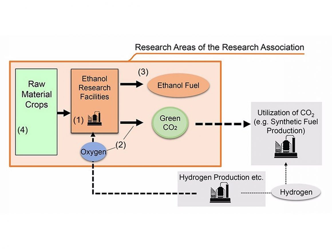 Seis empresas se unen para impulsar la producción de bioetanol como combustible para automóviles. FOTO: Toyota