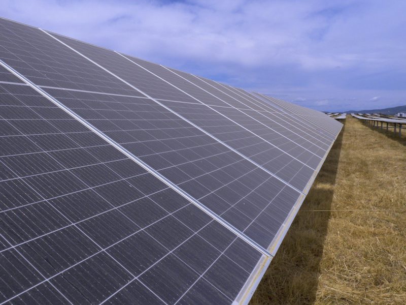 Iberdrola pone en marcha en Extremadura la planta fotovoltaica más grande de Europa. FOTO: Iberdrola