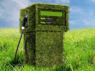 El Gobierno aprueba los objetivos de biocarburantes. FOTO: Neol