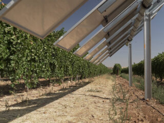 Proyecto Winesolar de Iberdrola en Toledo. FOTO: Iberdrola