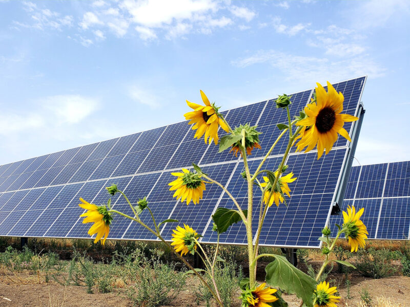 Planta fotovoltaica de Statkraft. FOTO: Statkraft