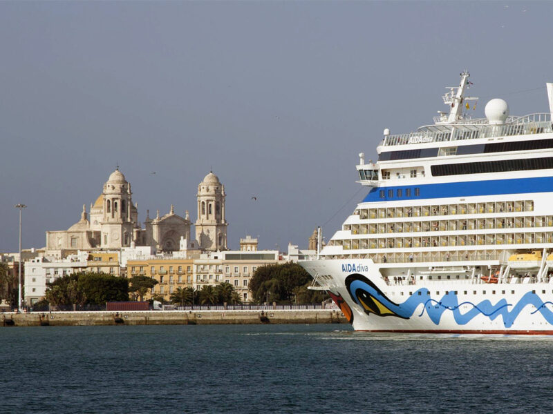 Un crucero en el Puerto de Cádiz. FOTO: Endesa