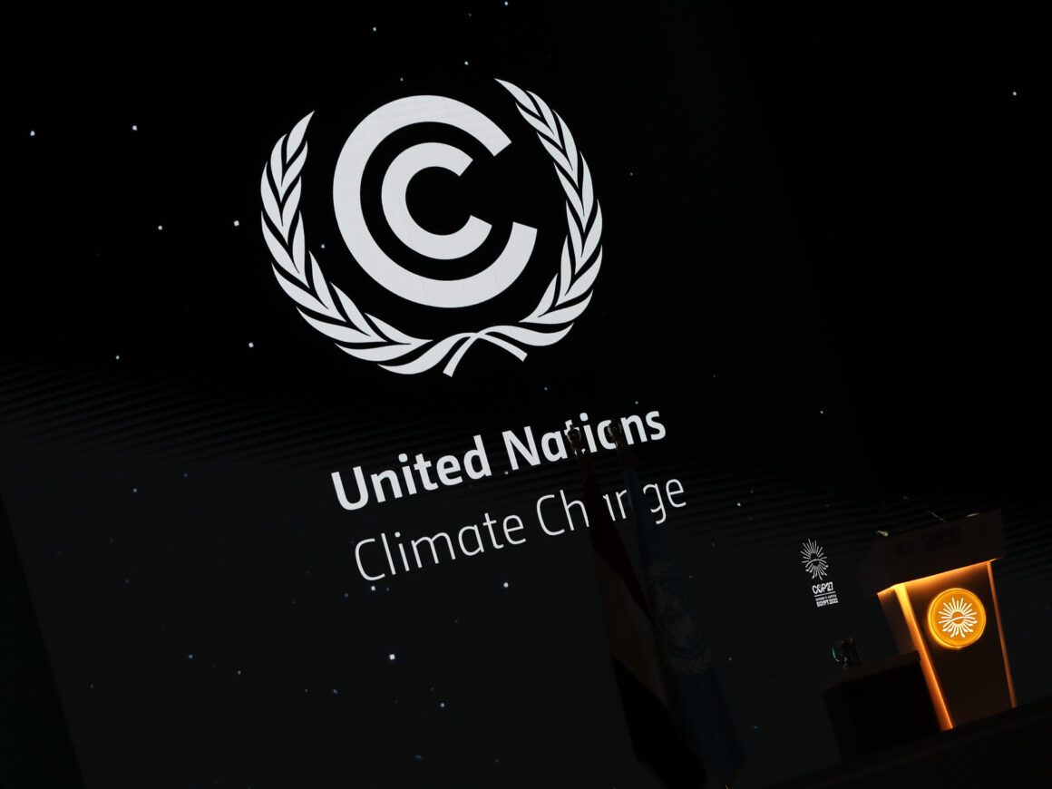 Cumbre del Clima, COP27, en el que los expertos de la ONU piden prohibir autodenominarse neutro en CO2. FOTO: UNclimatechange