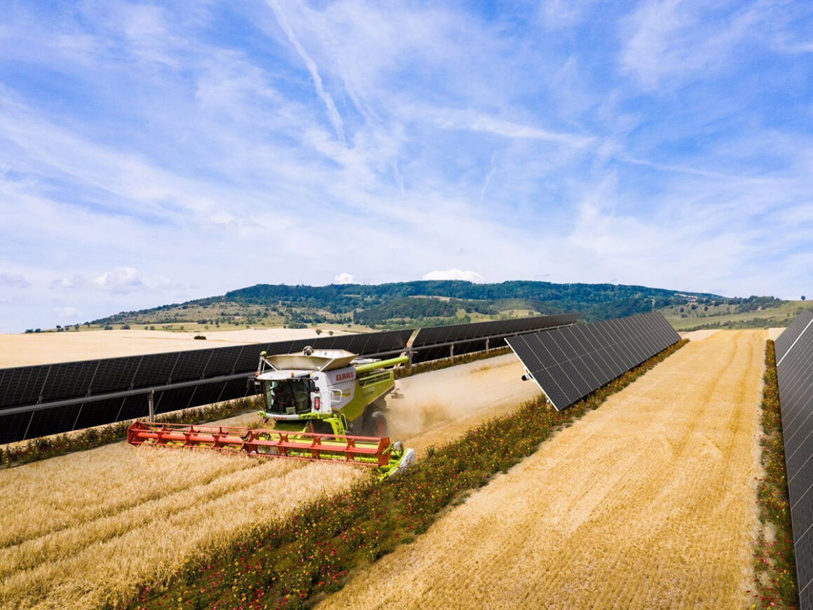 Parque solar y explotación agrícola. FOTO: Baywa